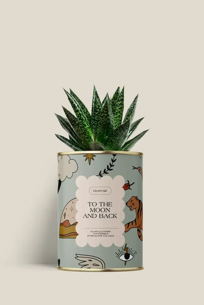 Cadeaux - To the moon and back - Mini Aloé - DIAIWAIE