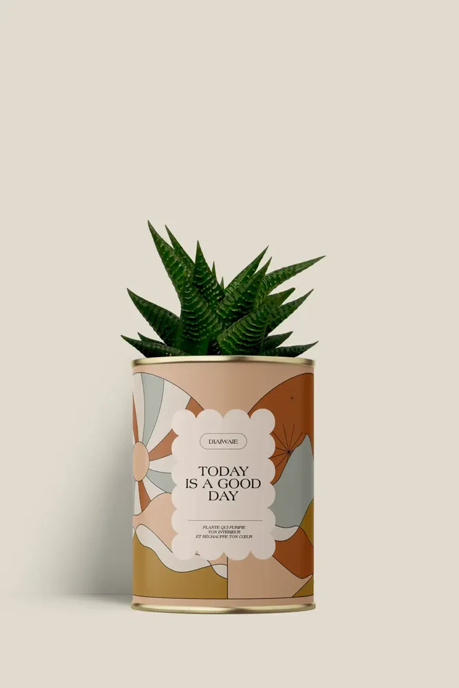 Cadeaux - Today is a good day - Mini Aloé - DIAIWAIE