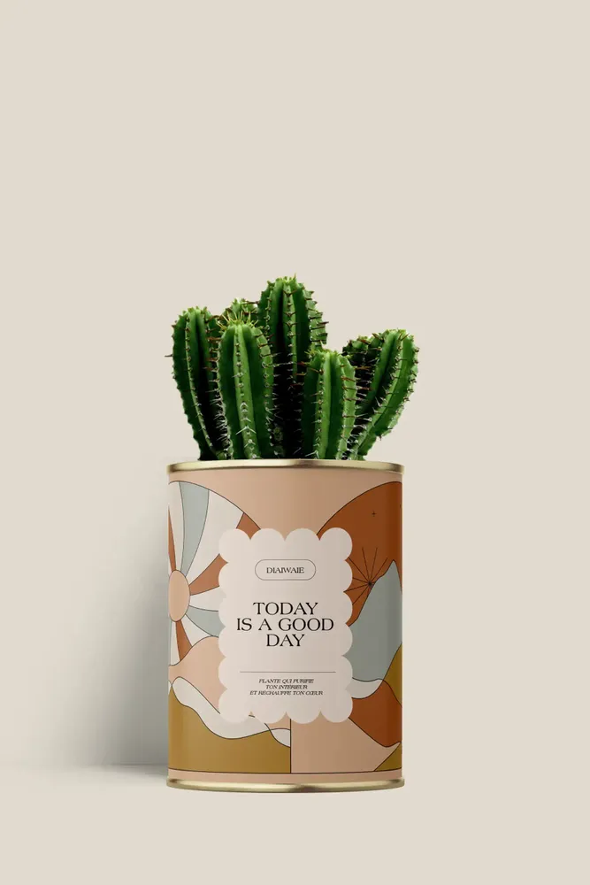 Gifts - Today is a good day - Mini Cactus - DIAIWAIE