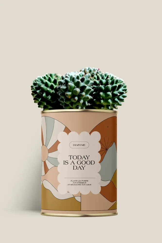 Gifts - Today is a good day - Maxi Cactus - DIAIWAIE