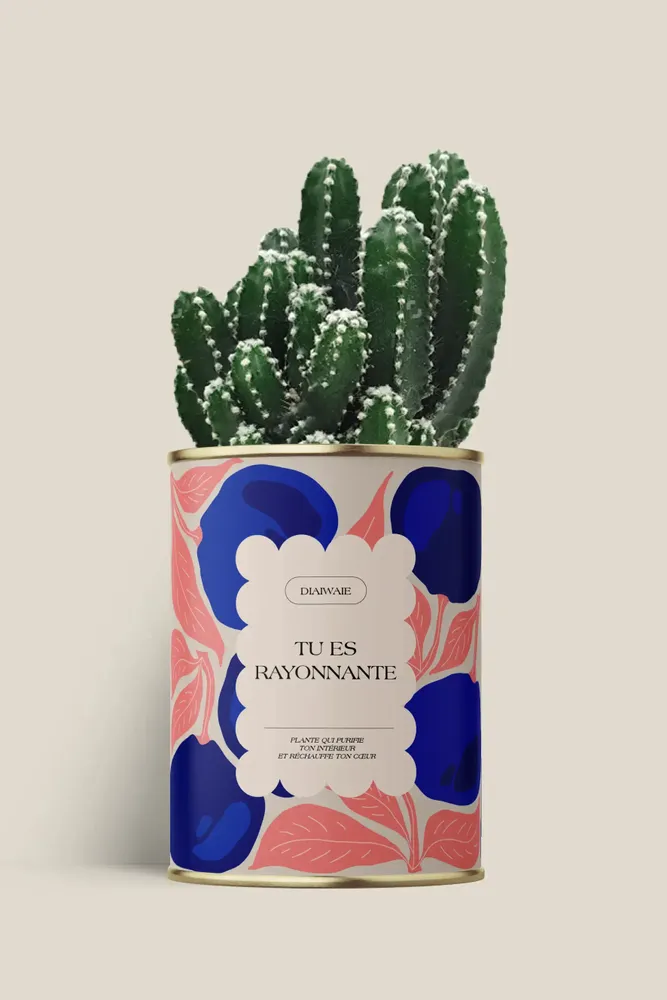 Gifts - Tu es rayonnante - Maxi Cactus - DIAIWAIE