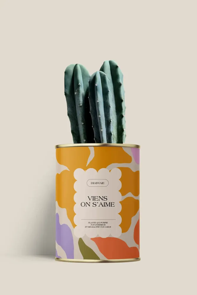 Gifts - Viens on s'aime - Mini Cactus - DIAIWAIE