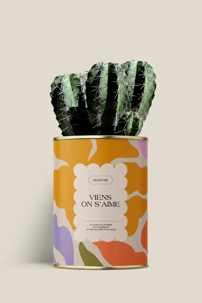 Gifts - Viens on s'aime - Maxi Cactus - DIAIWAIE