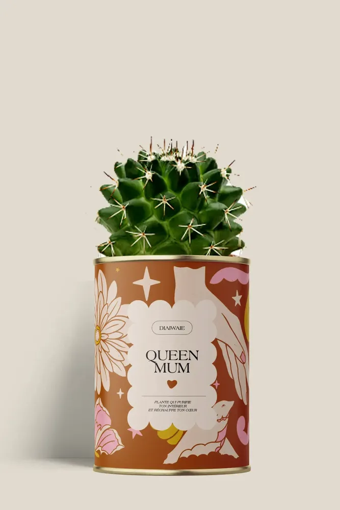 Cadeaux - Queen Mum - Mini Cactus - DIAIWAIE