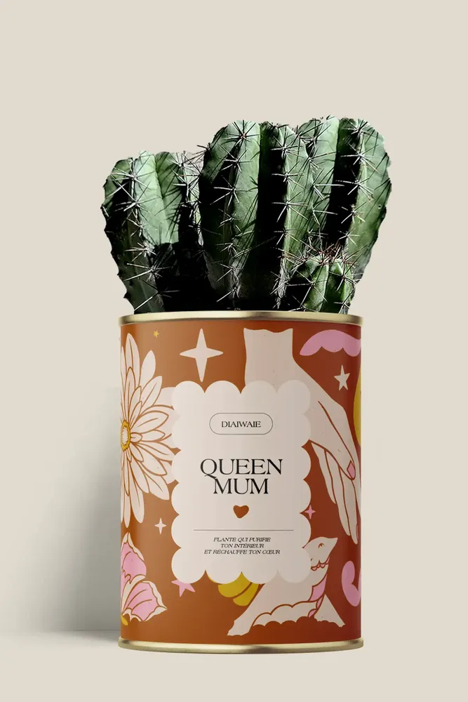 Gifts - Queen Mum - Maxi Cactus - DIAIWAIE