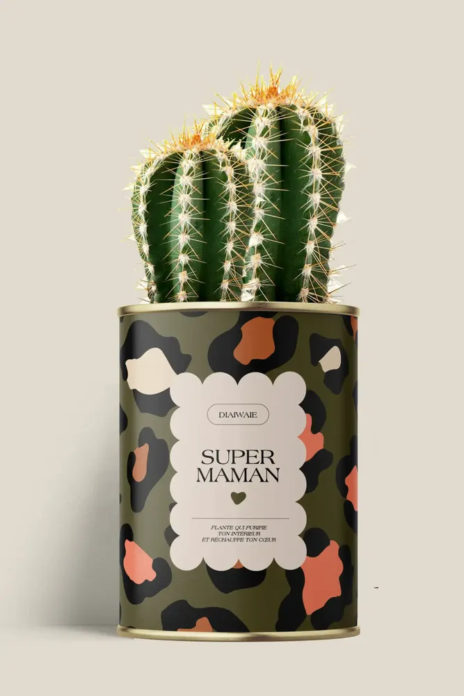 Cadeaux - Super maman - Maxi Cactus - DIAIWAIE