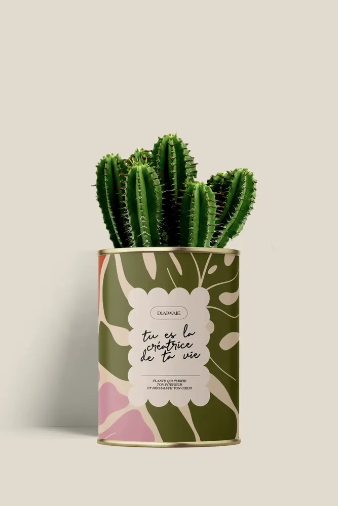 Gifts - Tu es la créatrice de ta vie - Mini Cactus - DIAIWAIE