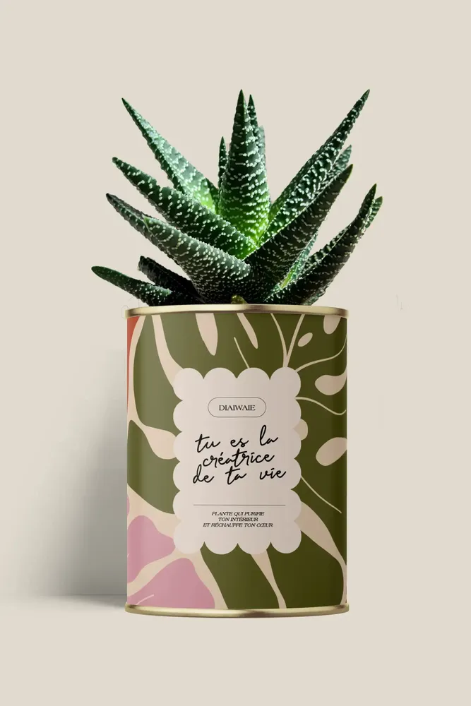 Cadeaux - Tu es la créatrice de ta vie - Maxi Aloé - DIAIWAIE