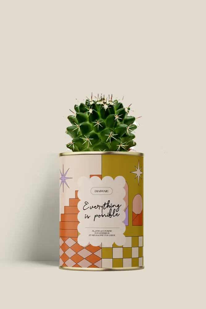 Cadeaux - Everything is possible - Mini Cactus - DIAIWAIE