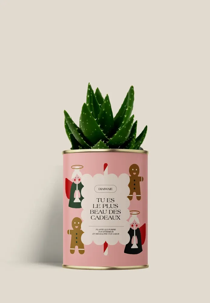 Cadeaux - TU ES LE PLUS BEAU DES CADEAUXX - Mini Aloé - DIAIWAIE