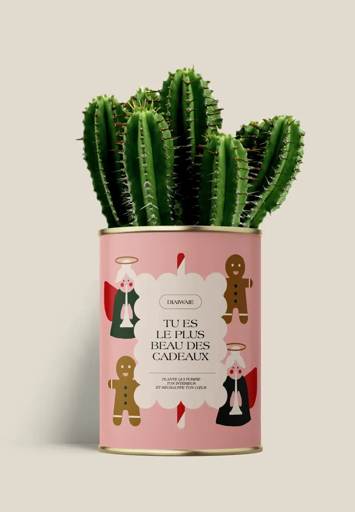 Gifts - TU ES LE PLUS BEAU DES CADEAUXX - Maxi Cactus - DIAIWAIE