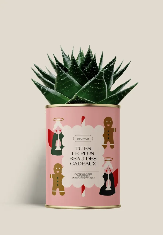 Gifts - TU ES LE PLUS BEAU DES CADEAUXX - Maxi Aloé - DIAIWAIE