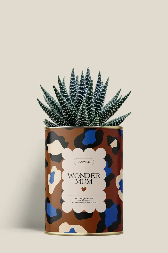 Cadeaux - Wonder mum - Mini Aloé - DIAIWAIE