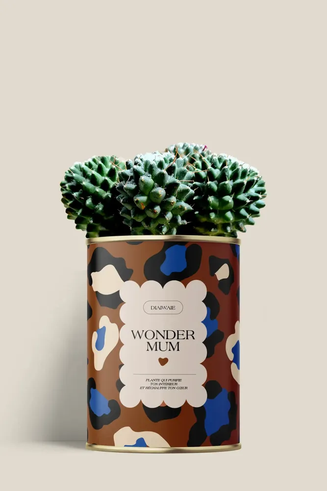 Gifts - Wonder mum - Mini Cactus - DIAIWAIE