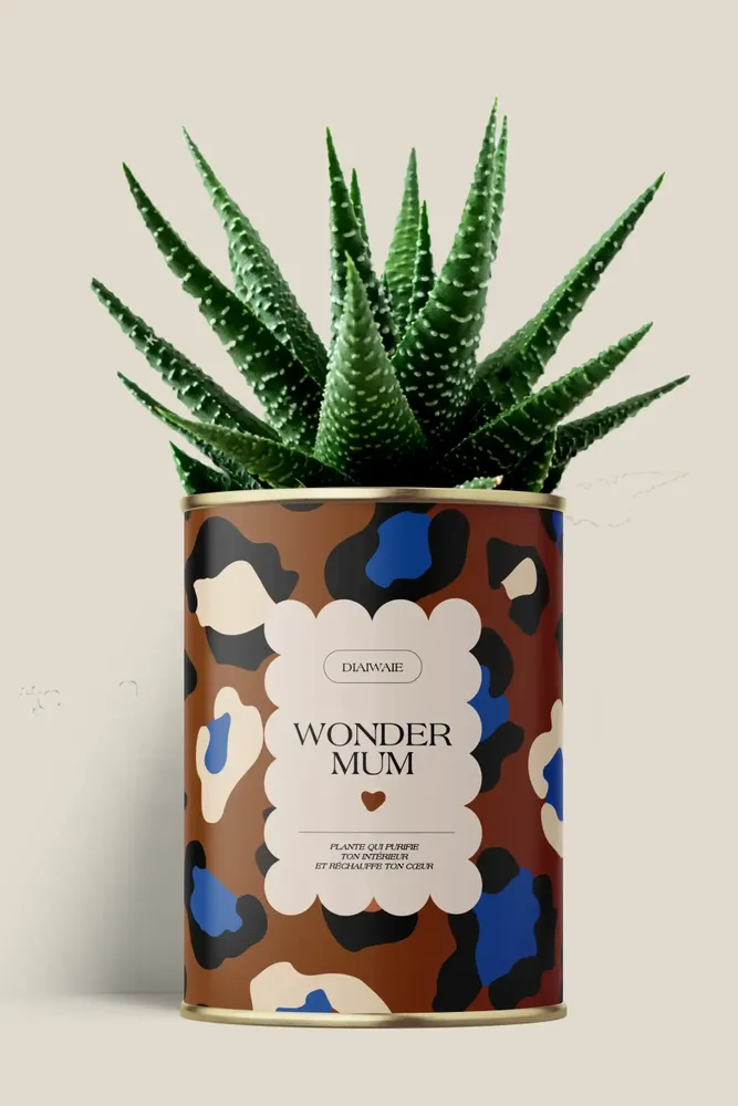 Gifts - Wonder mum - Maxi Aloé - DIAIWAIE