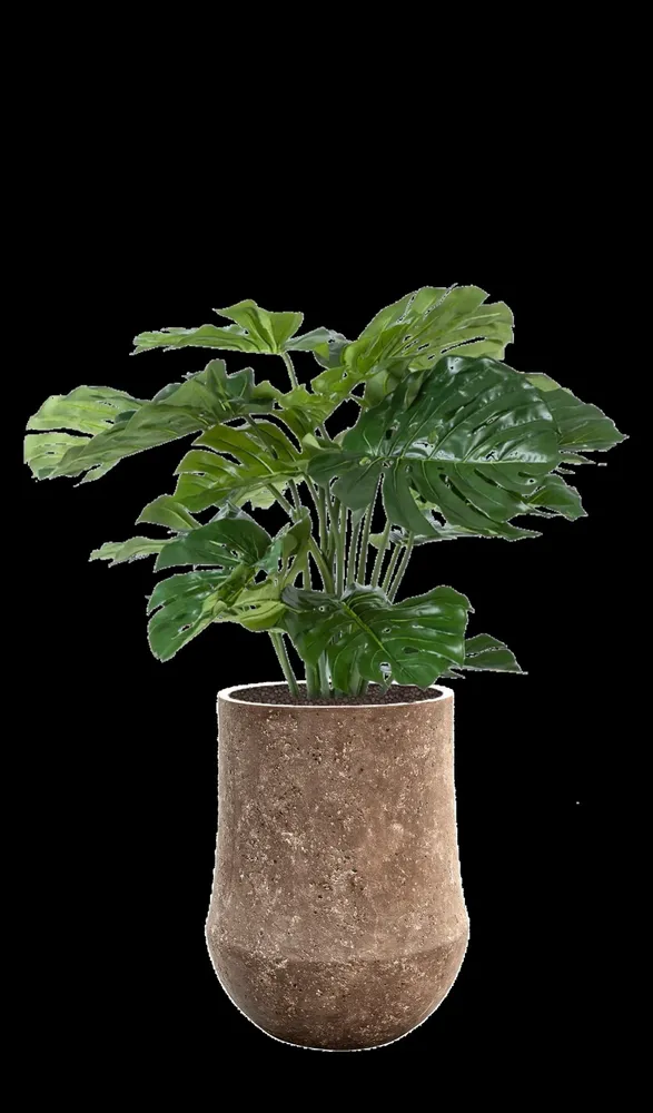 Décorations florales - Monstera géant - NATURE D'INTÉRIEUR