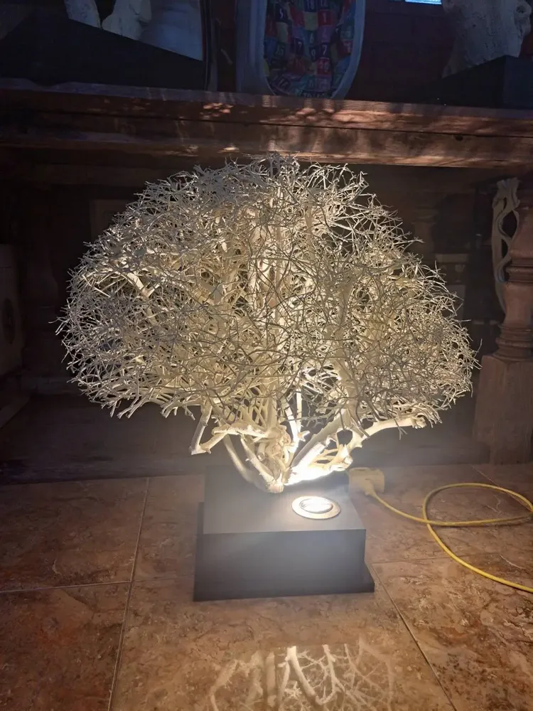 LED modules - WHITE TENDRILL with or without lamp (190 to 2m30)/(1m) - DCAA