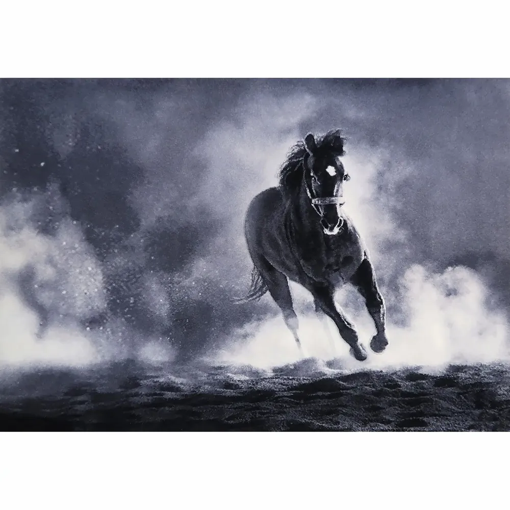 Other caperts - Tapestry Horse on the Sand - NEO TAPIS