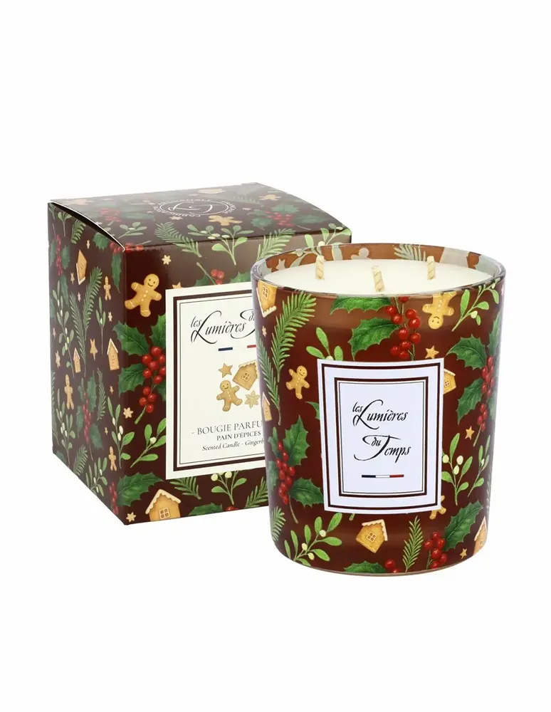 Bougies - Bougie Lumières d'Hiver 350 g Pain d'épices - LES LUMIERES DU TEMPS