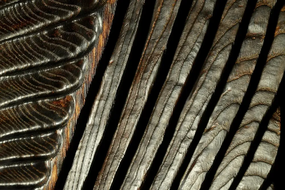 Unique pieces - Base - 24HM0212 - RIBEYROLLES JEAN-MICHEL - JMIR - SCULPTEUR