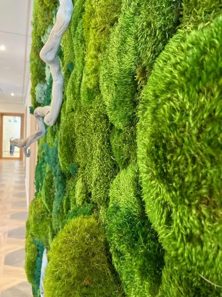 Revêtements muraux - Panneaux et Murs - ATELIER ECOGREEN