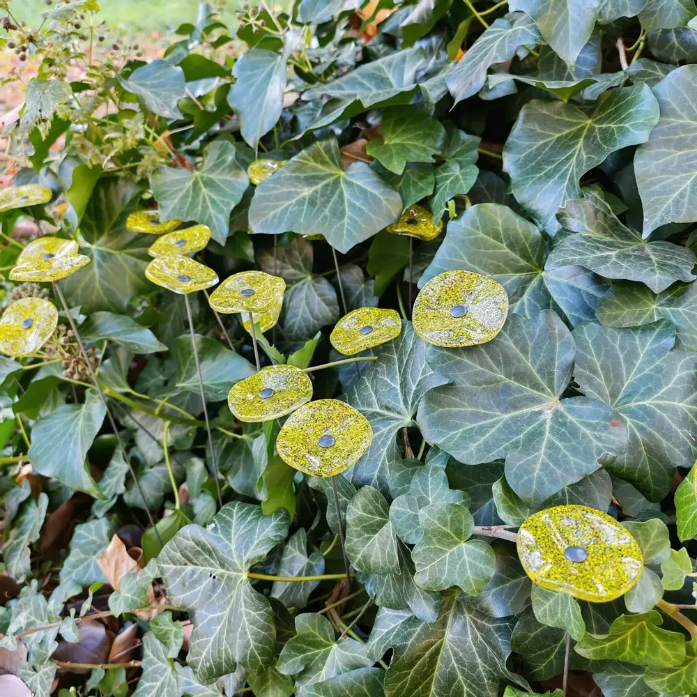 Décorations florales - Petite fleur ronde en verre pour l'extérieur de couleur transparente, jaune, noire avec tige en acier inoxydable de 43 cm - CARNEOL GLASS