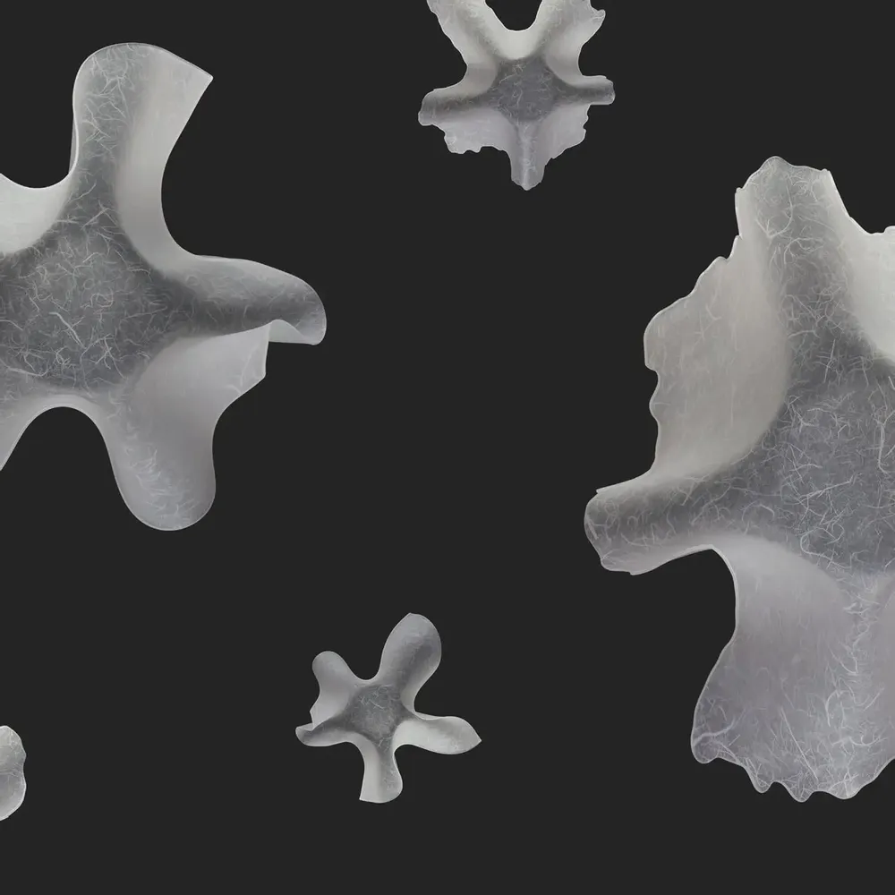 Platter and bowls - Utsuwa Series  “IRODORU" - NJ STYLE