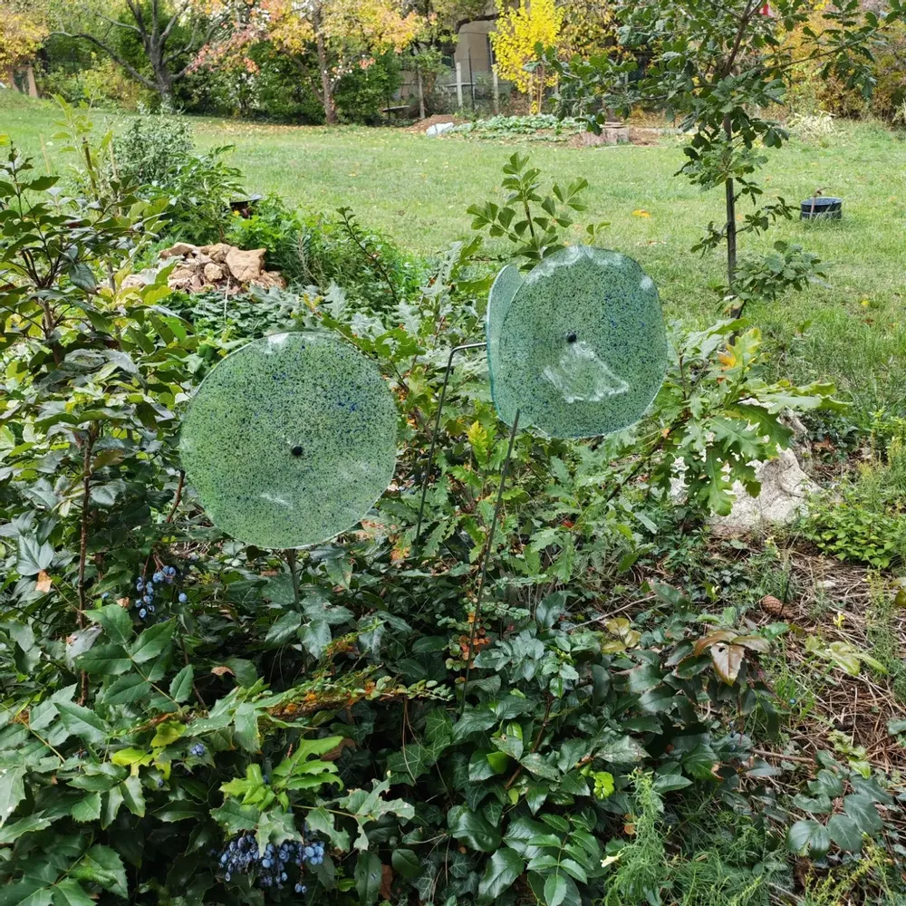 Décorations florales - Grande fleur en verre aux couleurs bleu-vert transparentes - CARNEOL GLASS