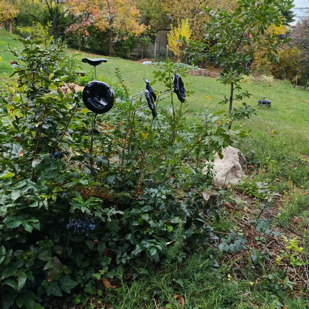 Décorations florales - Fleur en verre en forme d'entonnoir de taille moyenne pour une utilisation en extérieur de couleur noire avec une tige en acier inoxydable de 1 mètre - CARNEOL GLASS