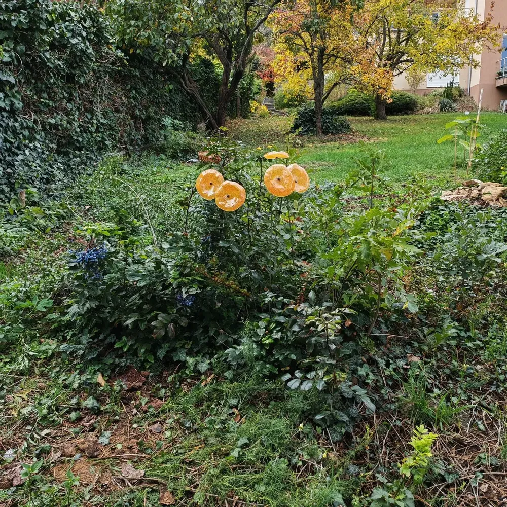Décorations florales - Fleur en verre en forme d'entonnoir de taille moyenne pour une utilisation en extérieur de couleur transparente, jaune, orange avec une tige en acier inoxydable de 1 mètre - CARNEOL GLASS