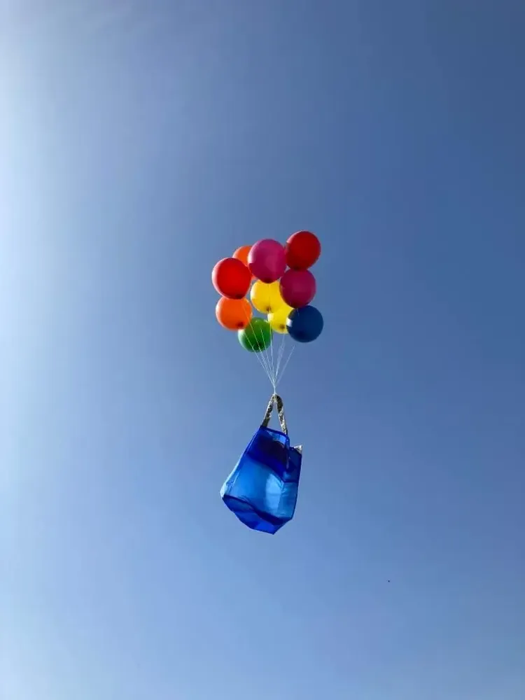 Bags and totes - TOTE_L - HOZUBAG