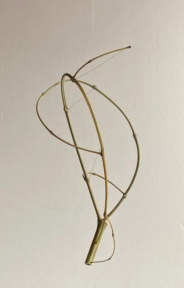 Sculptures, statuettes and miniatures - bamboo - KEIICHI SAITO BY ARTY ARTY