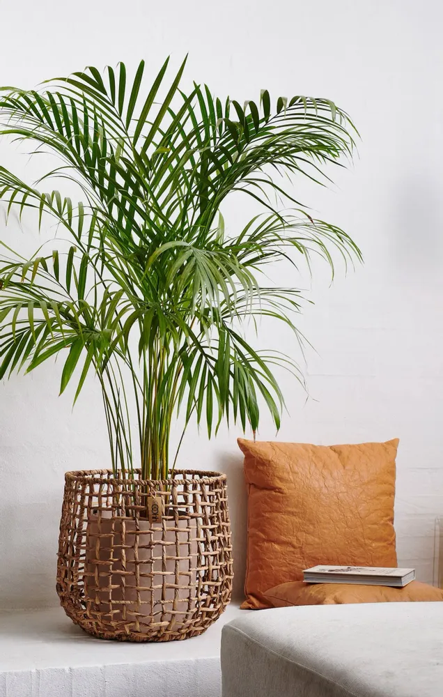 Objets design - Collection OOHH de Lubech Living - OOHH BY LÜBECH LIVING