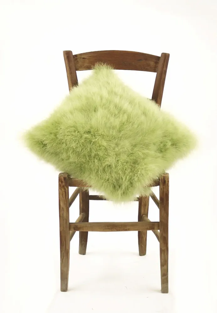 Coussins - Coussin en plume soyeuse - MARCY PLUMASSIER - FEATHERS