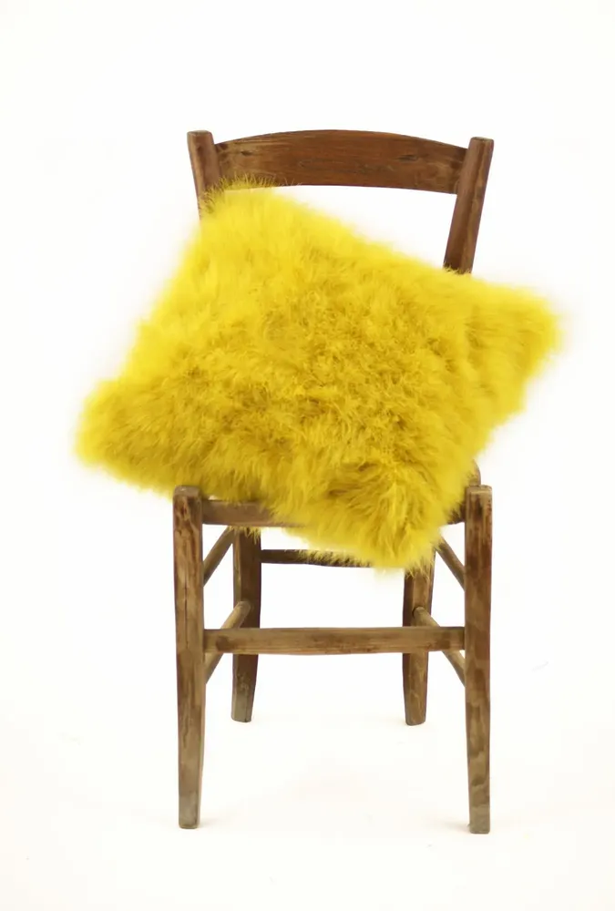 Coussins - Coussin en plume soyeuse - MARCY PLUMASSIER - FEATHERS