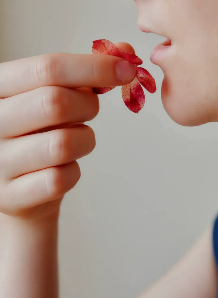 Confiserie - Coffret Yü Lotus - Un rituel sensoriel pour se reconnecter à soi-même - YÜSSÉE