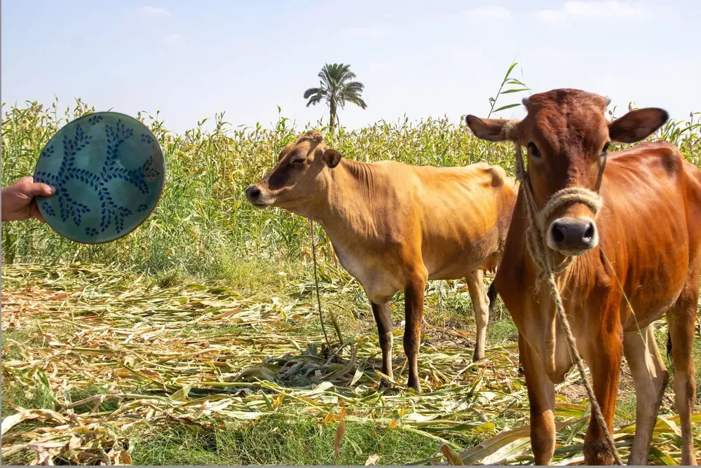 Assiettes au quotidien - Vaisselle en céramique ZAHRA - TAKECAIRE