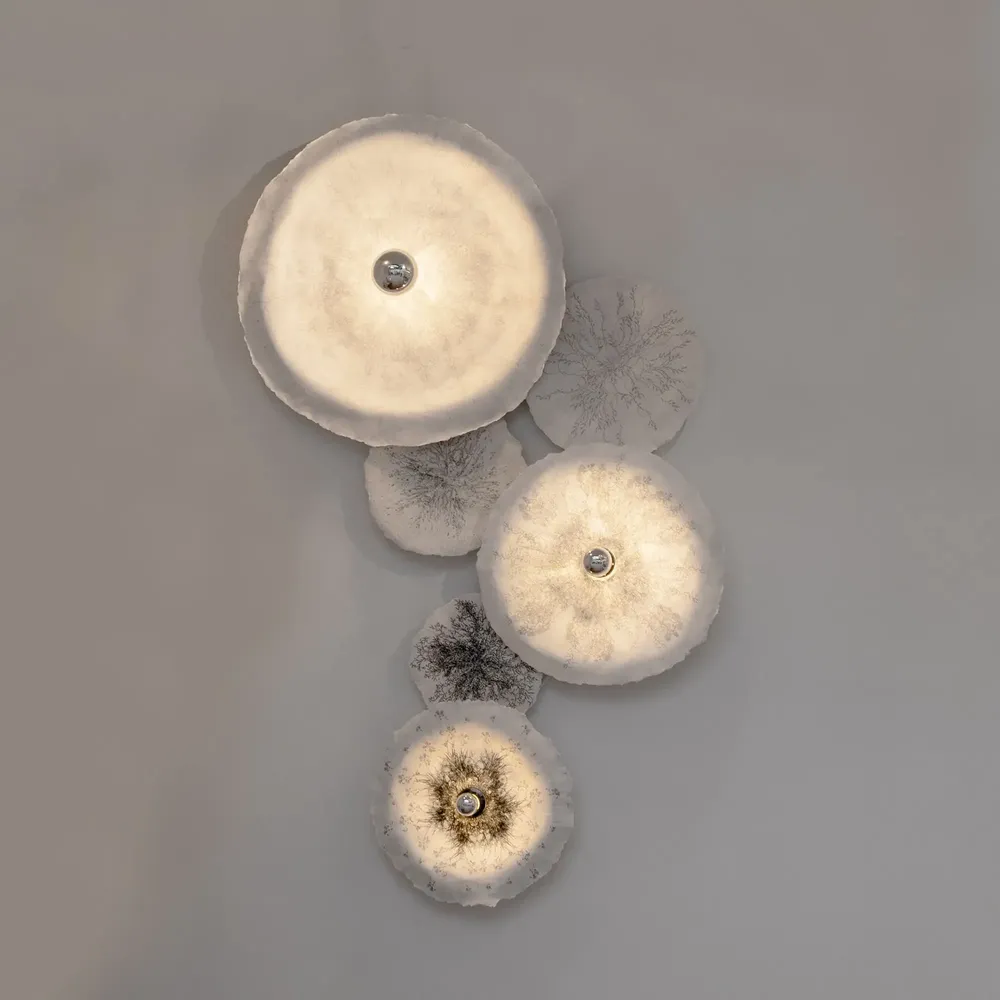 Wall lamps - Flower wall lamp - N.LOBJOY