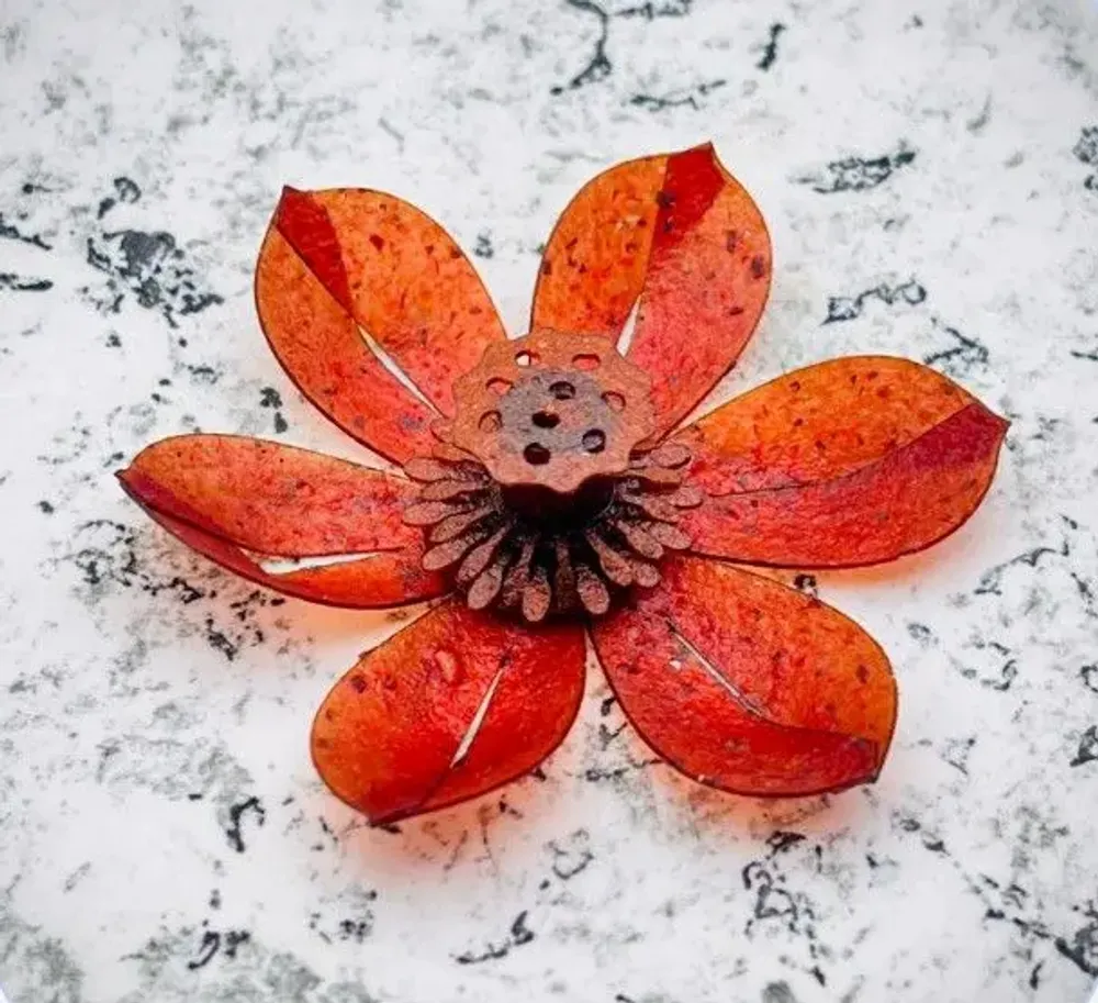 Gifts - Lotus Eclosion box - YÜSSÉE