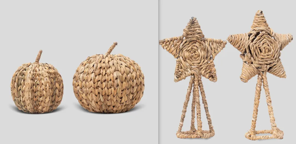 Food storage - Seagrass Collection - ECONEST