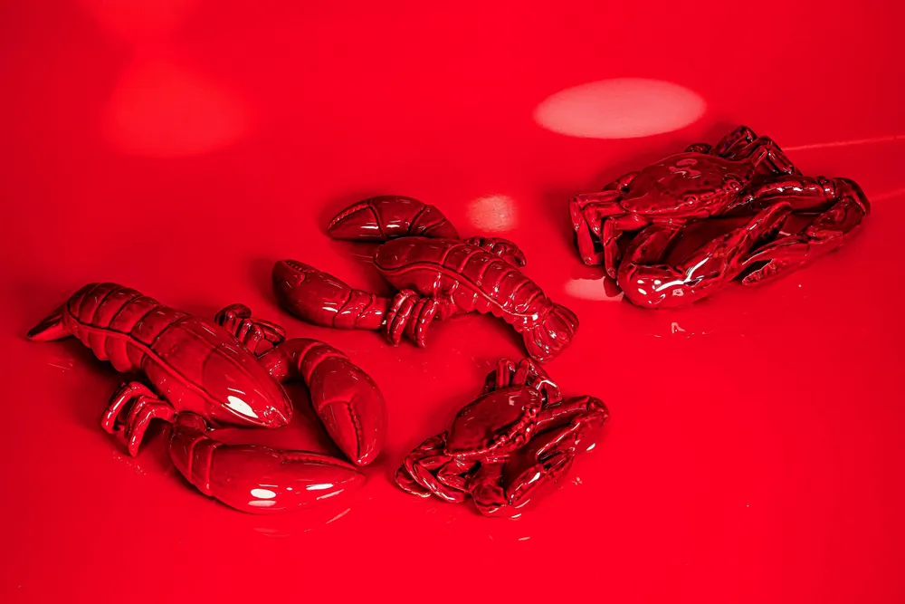 Objets design - décorations pour la maison - SHISHI