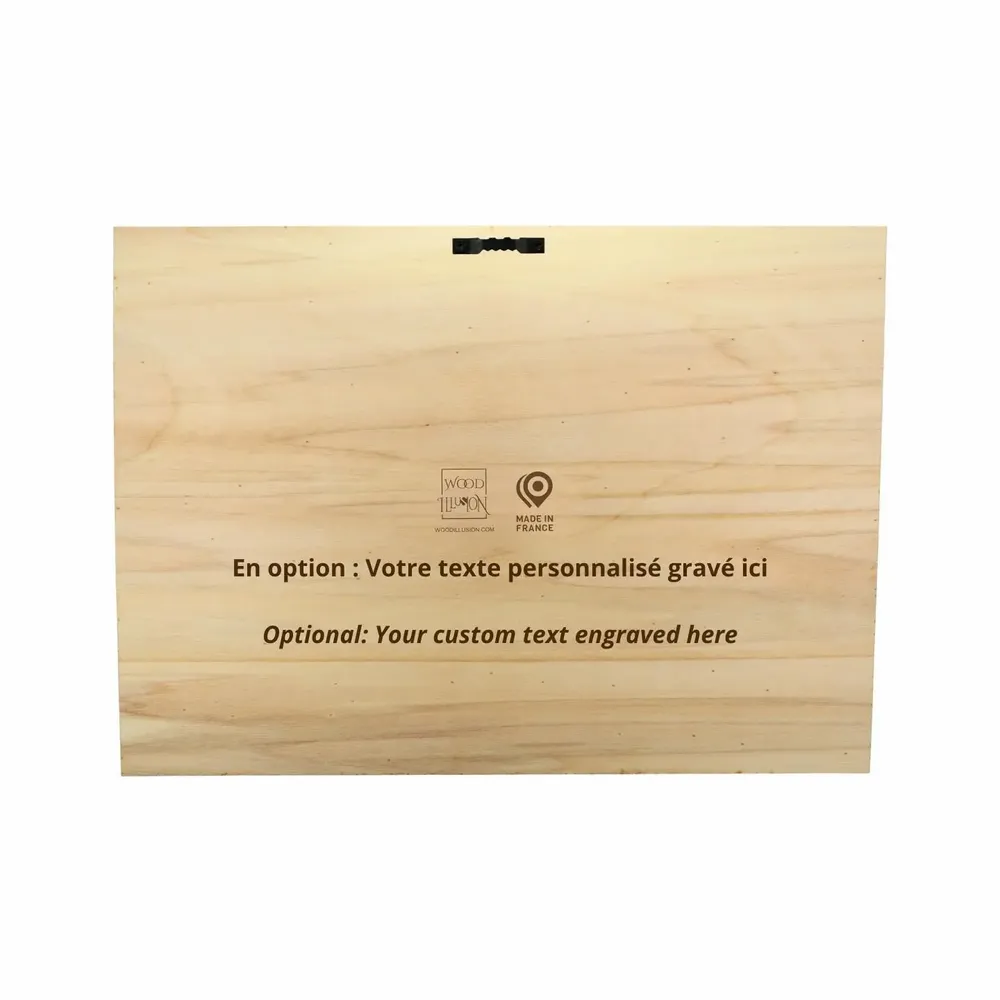 Paintings - Wooden Airplane Wall Art 3 - WOODILLUSION