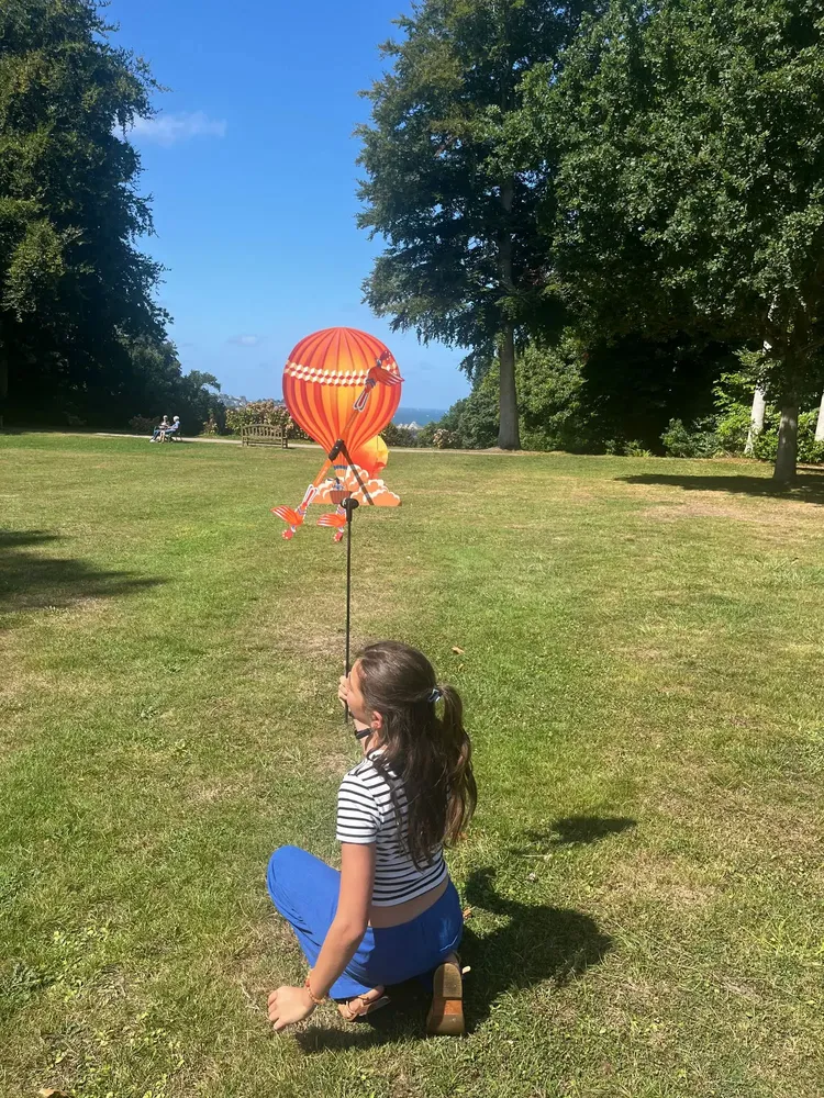Outdoor decorative accessories - Alain Ballon weather vane - LES RITOURNAILES