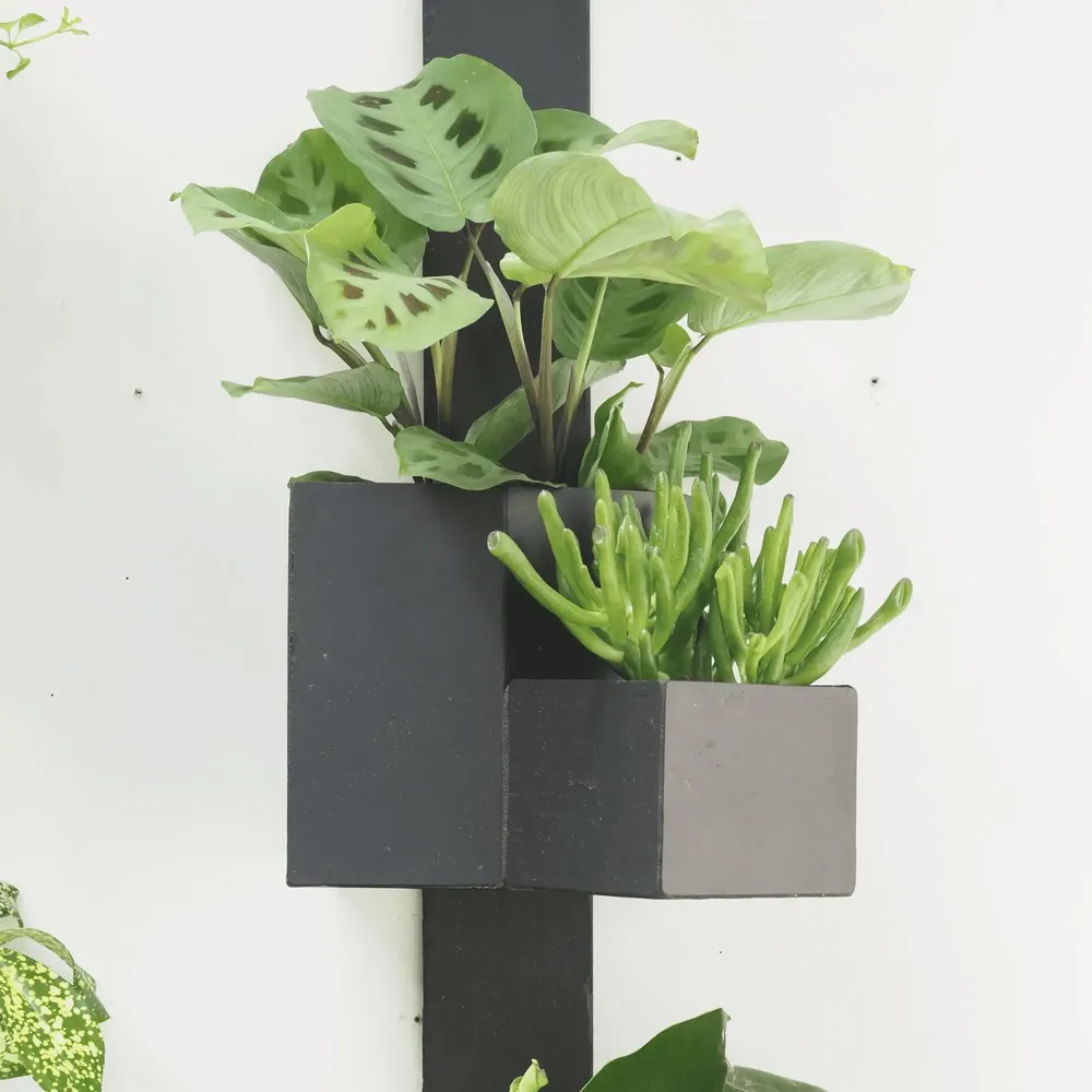 Jardinières - Jardinière murale en ardoise naturelle NICA - ARDOISE DESIGN