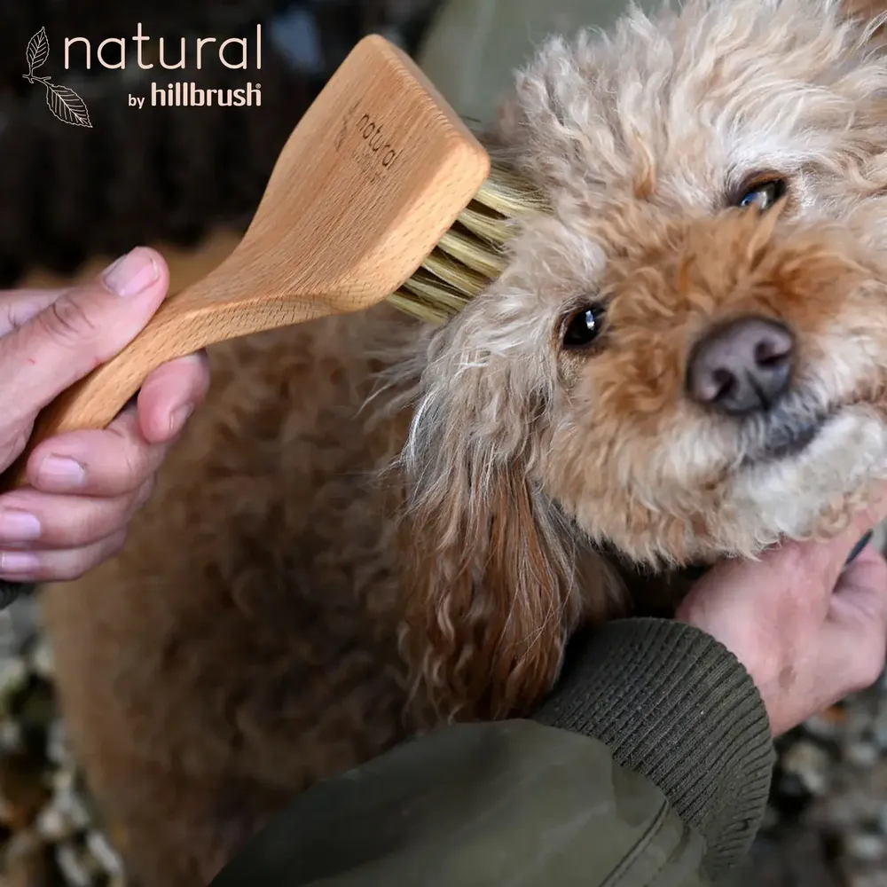 Pet accessories - 100% FSC Certified® Natural Angled Pet Grooming Brush - Soft Bristle - NATURAL BY HILLBRUSH