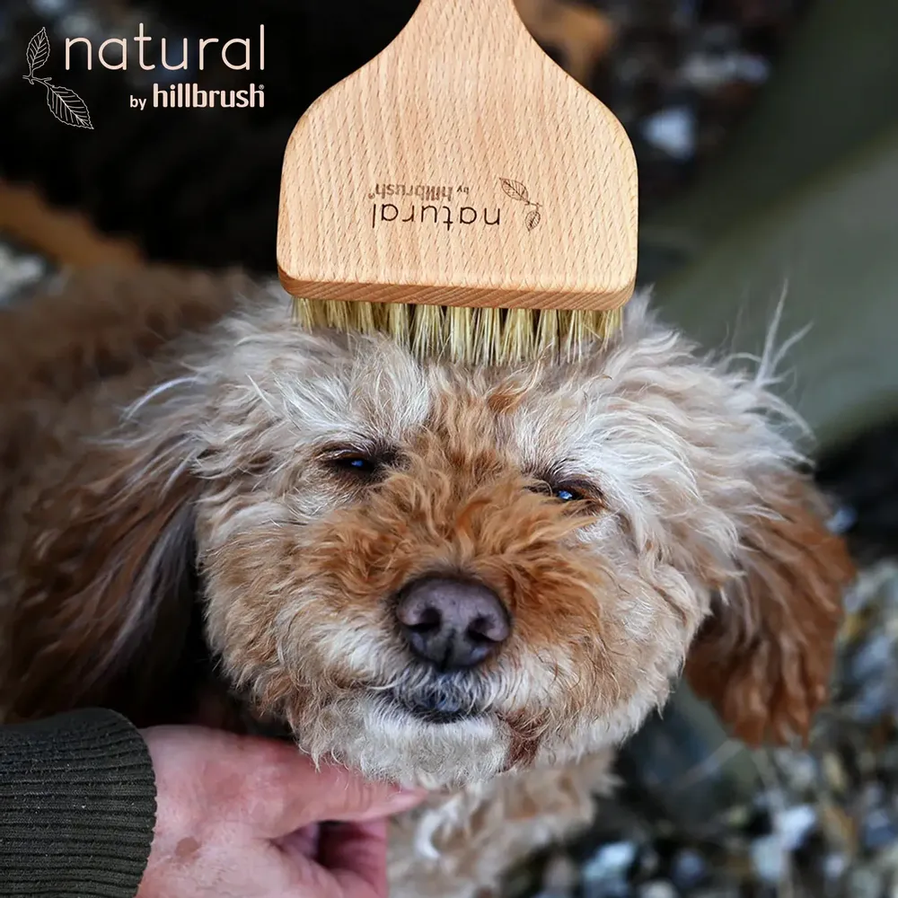 Pet accessories - 100% FSC Certified® Natural Angled Pet Grooming Brush - Soft Bristle - NATURAL BY HILLBRUSH