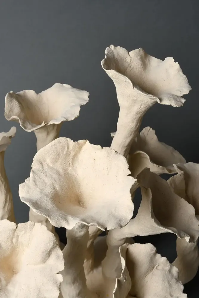 Ceramic - Outbreaks, Plenitude. - CLP CERAMIQUE