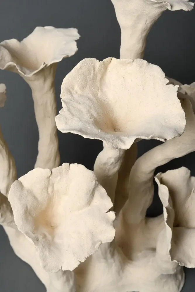 Ceramic - Outbreaks, Plenitude. - CLP CERAMIQUE