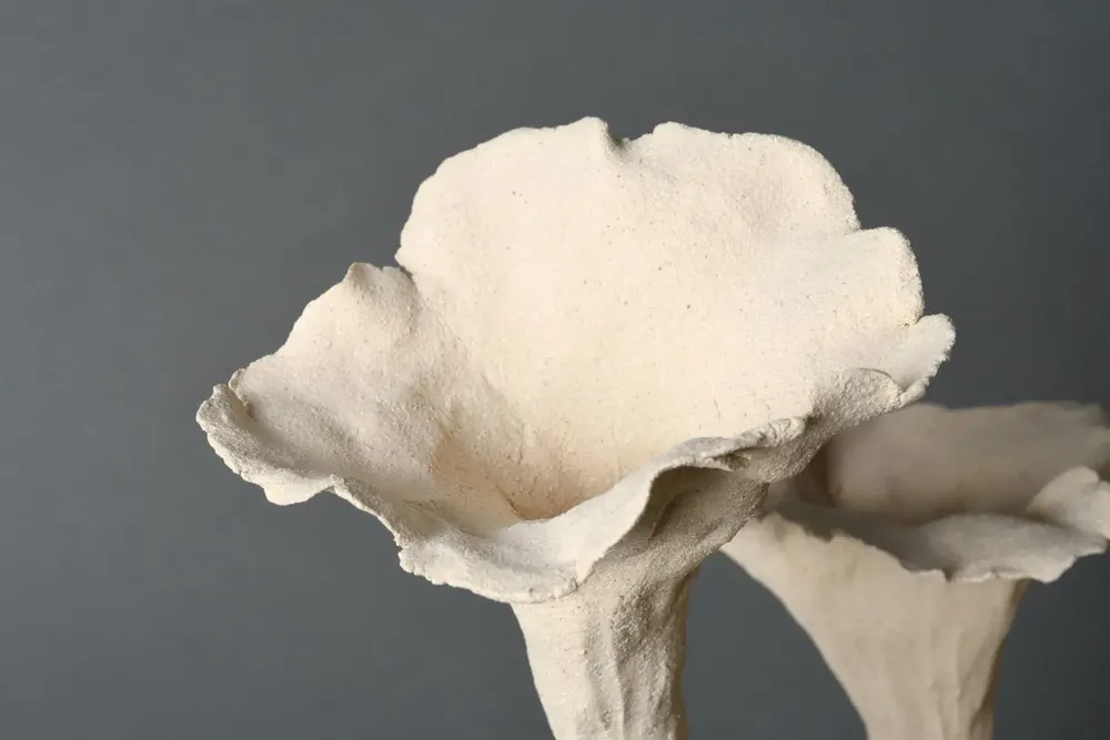 Ceramic - Outbreaks, Plenitude. - CLP CERAMIQUE