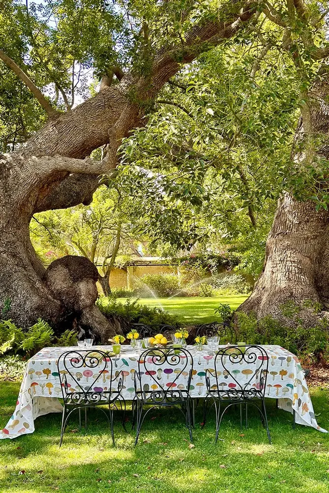 Nappes - John Derian Collaborations - Nappes et serviettes en lin - SUMMERILL AND BISHOP